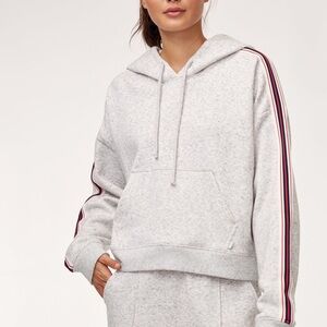 Aritzia TNA Iconic Hoodie Gray Hoodie with Striped Sleeves